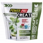  Power Pro Creatine Maxmum Recovery 400 